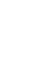 Le Flamant Rose